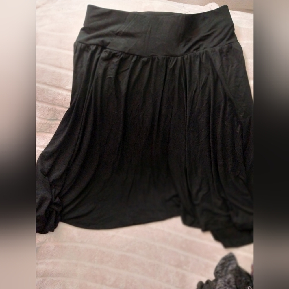 Hilary Radley Black A-Line Skirt